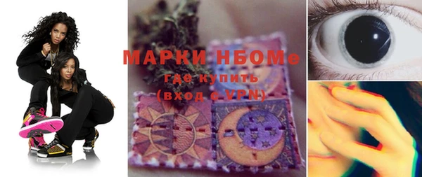 мет Алексин