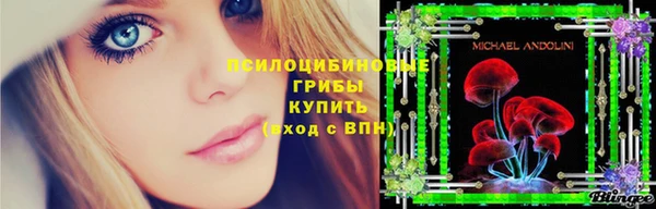 прущая мука Алзамай
