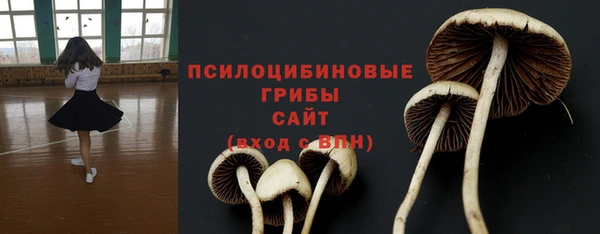 мет Алексин