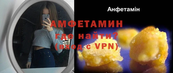 мет Алексин