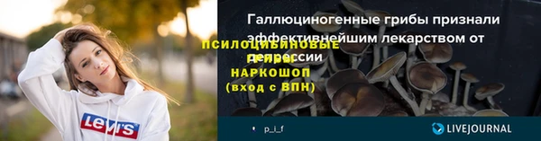 крисы Алексеевка