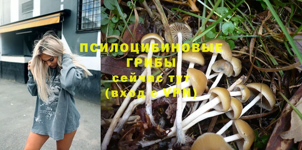 прущая мука Алзамай