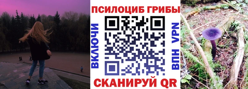 где купить наркоту  Раменское  Галлюциногенные грибы мухоморы 